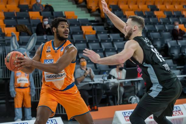 公牛双雄 公牛双雄